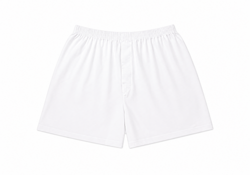 Boxers