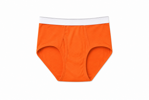 Men's Orange Briefs