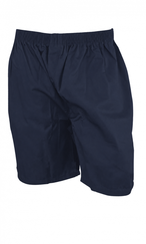 Twill Walking Shorts